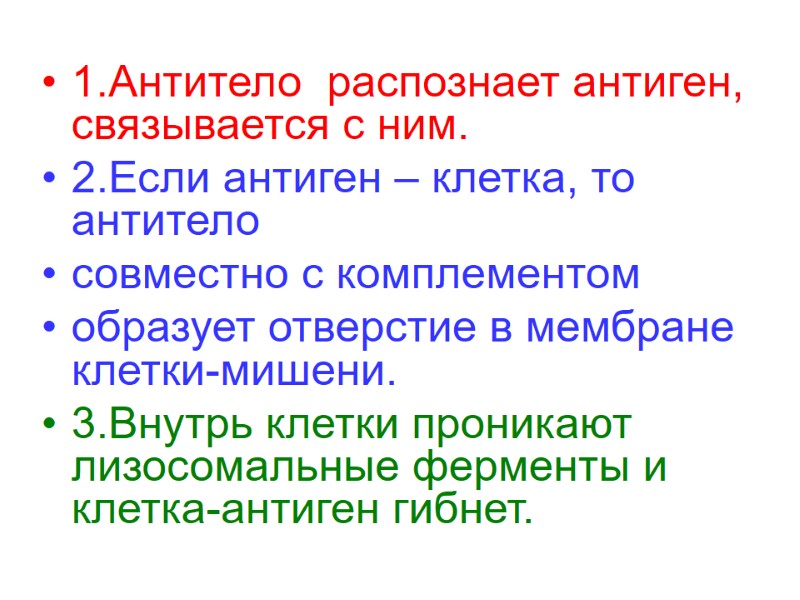 1.Антитело  распознает антиген, связывается с ним. 2.Если антиген – клетка, то  антитело
